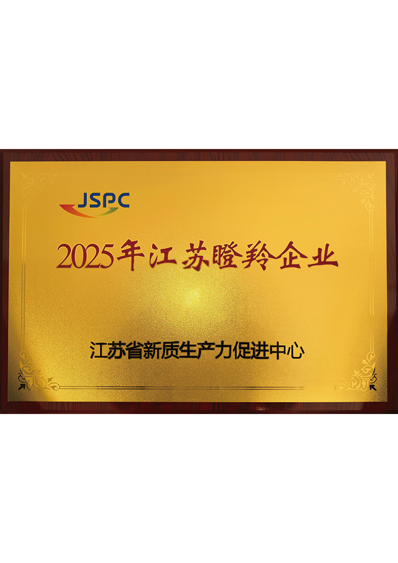 2025 Jiangsu Gazelle Enterprise Designation